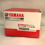 2GU-14101-01-00 Original OEM YAMAHA