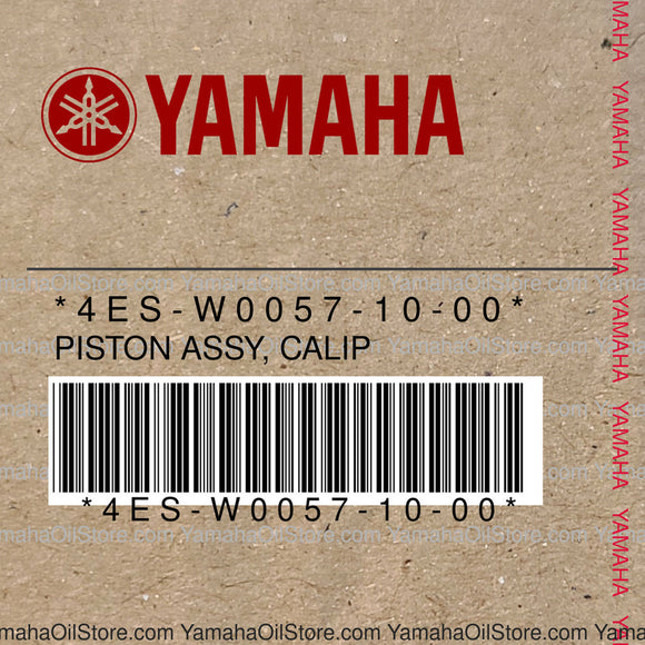 4ES-W0057-10-00 Original OEM YAMAHA