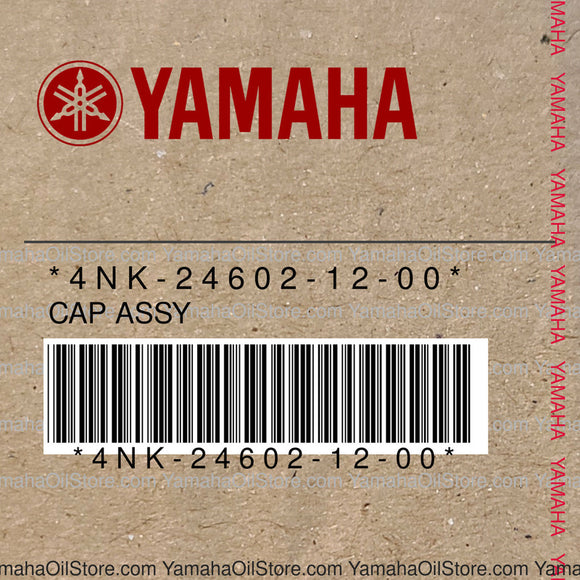 4NK-24602-12-00 Original OEM YAMAHA