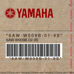 6AW-W009B-01-9S Original OEM YAMAHA