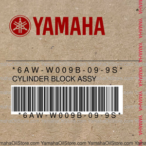 6AW-W009B-09-9S Original OEM YAMAHA