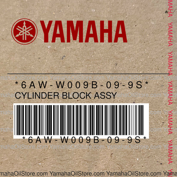 6AW-W009B-09-9S Original OEM YAMAHA