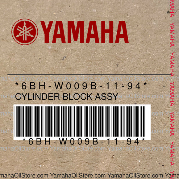 6BH-W009B-11-94 Original OEM YAMAHA
