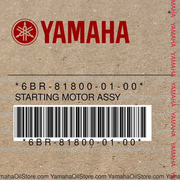 6BR-81800-01-00 Original OEM YAMAHA