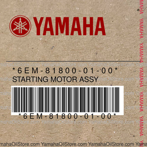 6EM-81800-01-00 Original OEM YAMAHA