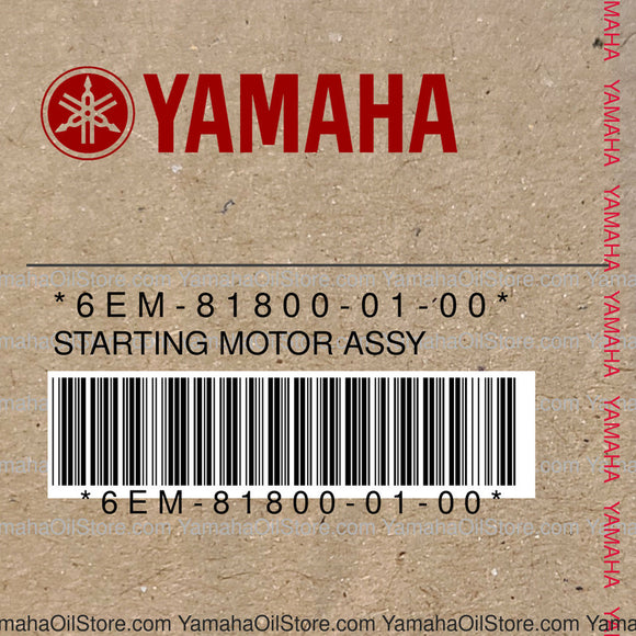 6EM-81800-01-00 Original OEM YAMAHA