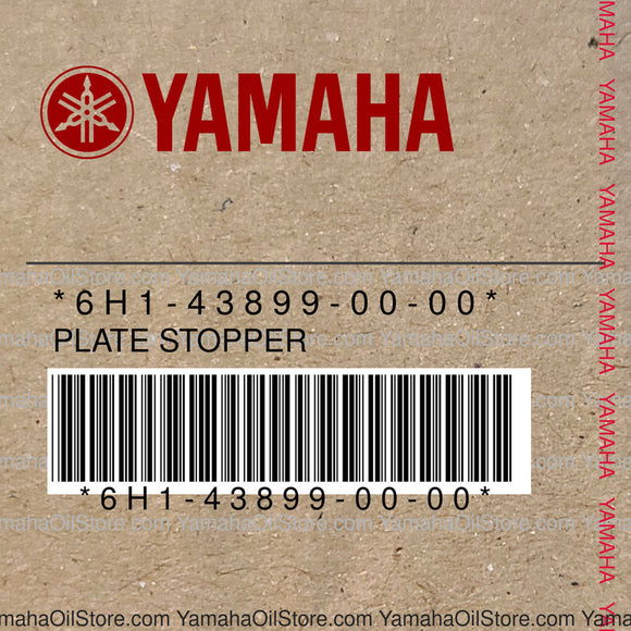 6H1-43899-00-00 Original OEM YAMAHA