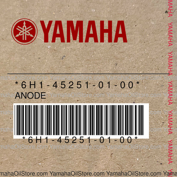6H1-45251-01-00 Original OEM YAMAHA