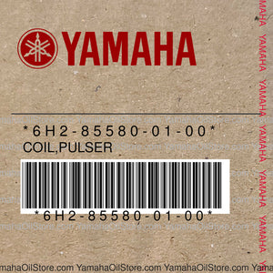 6H2-85580-01-00 Original OEM YAMAHA