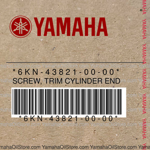 6KN-43821-00-00 Original OEM YAMAHA