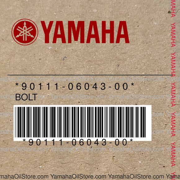 90111-06043-00 Original OEM YAMAHA