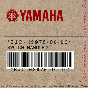 BJC-H3975-00-00 Original OEM YAMAHA