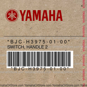 BJC-H3975-01-00 Original OEM YAMAHA